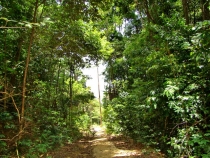 Малайзия в 2010 году - запоздалый отчет(Тиоман-КЛ-Перхентианы).