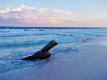 Путешествие по Юкатану, мексиканские пляжи и вся правда о конце света