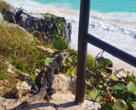 Путешествие по Юкатану, мексиканские пляжи и вся правда о конце света