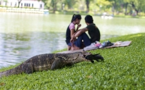 Таиланд. Сентябрь-октябрь. БКК-Самуи-Као Сок-Пхукет