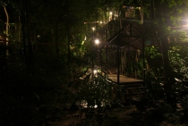 Таиланд. Сентябрь-октябрь. БКК-Самуи-Као Сок-Пхукет