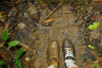 Таиланд. Сентябрь-октябрь. БКК-Самуи-Као Сок-Пхукет