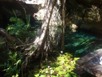 Путешествие по Юкатану, мексиканские пляжи и вся правда о конце света