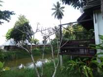 Thanya Beach Resort - Koh Ngai Thanya Beach Resort - Koh Ngai