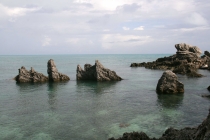 Бермудский Фотоглаз