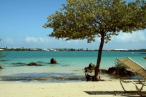 Бермудский Фотоглаз