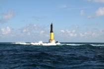 Бермудский Фотоглаз