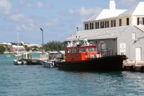 Бермудский Фотоглаз