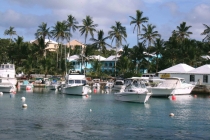 Бермудский Фотоглаз