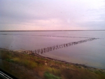 Калининград-Крым (Севастополь, Ласпи)