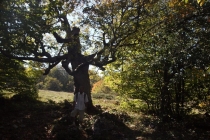 Калининград-Крым (Севастополь, Ласпи)