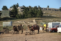 Калининград-Крым (Севастополь, Ласпи)