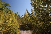 Калининград-Крым (Севастополь, Ласпи)