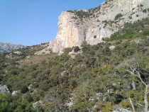 Калининград-Крым (Севастополь, Ласпи)