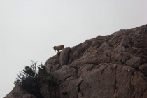 Калининград-Крым (Севастополь, Ласпи)