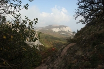 Калининград-Крым (Севастополь, Ласпи)