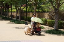 Четыре дня в Гонконге в декабре - ответьте на вопросы по логистике, пожалуйста!!!