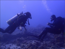 Eilat - Marina Divers
