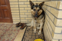 СПб - Польша - Венгрия - Австрия - Чехия - Германия - Польша - СПб  (июнь 2012)