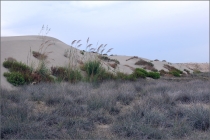 Кипр в октябре. Дюна в Episkopi bay (залив Епископи), ванны Адониса (Adonis Baths) и еще .