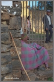 Сказка о тринадцати месяцах. Эфиопия, ноябрь 2012.