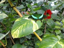 7500 км от Москвы до Италии и обратно