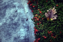 Рейли - ПиПи - Кэмпинг Майя Бэй - Ко Нгаи - АоНанг - Бангкок - Гуанчжоу