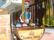 DSC05831