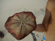 Ао Нанг - Рейли - Пхи-Пхи - Пхукет январь 2013