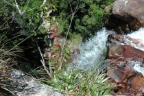 Наша незабываемая Венесуэла