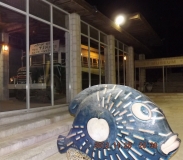 Израиль. Впервые. Самостоятельно. Лучшие впечатления. Израиль. Впервые. Самостоятельно. Лучшие впечатления.