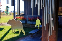 Day 06 North Carolina