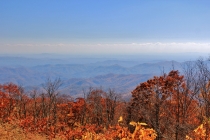 Day 06 North Carolina