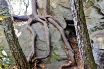 Day 06 North Carolina