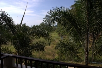 Мечты сбываются или небольшое путешествие: Паттайя-Ко-Чанг-Ко-Мак–Бангкок. Путевые заметки