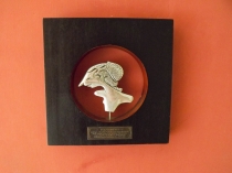 Ява - Бали - Гили, сентябрь 2012