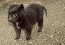 Вьетнам с севера на юг. Фотоотчет_1 часть. Ханой-Халонг-Хюэ