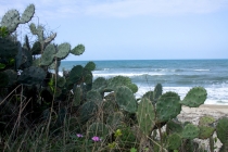 Вьетнам с Севера на Юг_2 часть_Фотоотчет_Хой Ан-Фукуок-Хошимин-Ханой