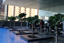 Малайзия-Сингапур. Ноябрь 2012г.