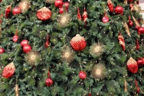 Малайзия-Сингапур. Ноябрь 2012г.