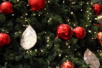 Малайзия-Сингапур. Ноябрь 2012г.