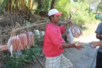 Куала-Лумпур - Флорес - Бали - Бангкок