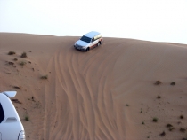 Песчаное Сафари