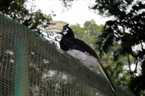 Малайзия-Сингапур. Ноябрь 2012г.