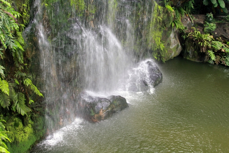 Малайзия-Сингапур. Ноябрь 2012г.