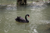 Малайзия-Сингапур. Ноябрь 2012г.