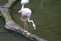 Малайзия-Сингапур. Ноябрь 2012г.