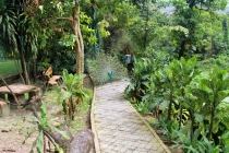 Малайзия-Сингапур. Ноябрь 2012г.