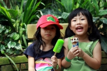 Малайзия-Сингапур. Ноябрь 2012г.