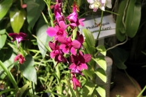 Малайзия-Сингапур. Ноябрь 2012г.